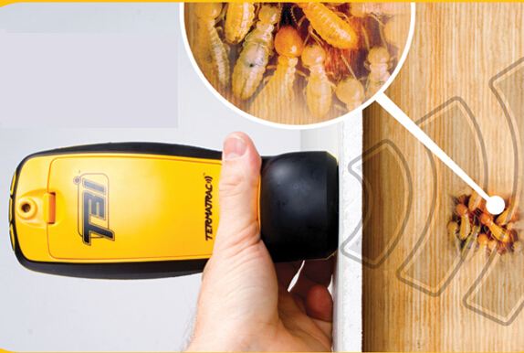 中山市白蟻檢測機構(gòu)