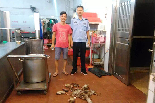 黃圃專業(yè)蟲(chóng)害防治廠家