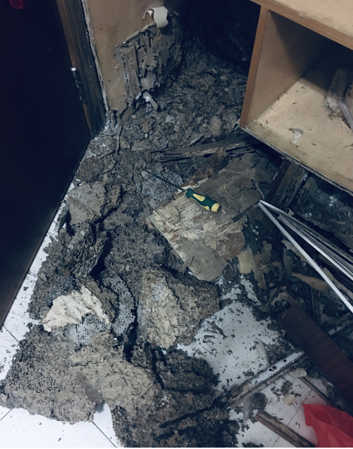 中山白蟻防治公司 中山滅殺白蟻經(jīng)驗-珠海