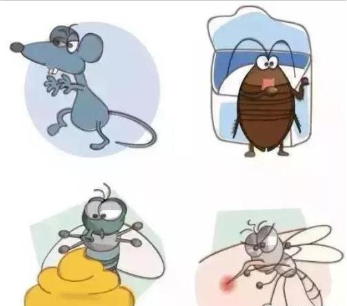 中山消殺滅四害是什么？有哪些危害