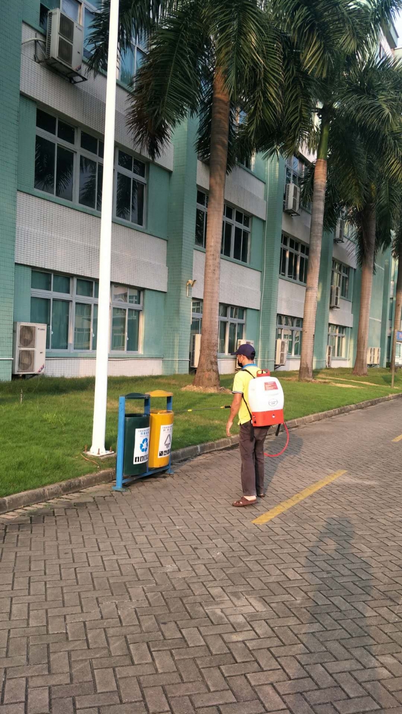 中山家里發(fā)現(xiàn)很多白蟻怎么辦？-珠海格蘭云