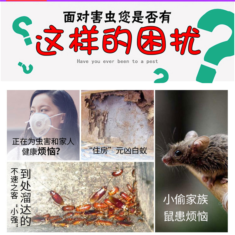 中山滅白蟻公司價(jià)格 中山白蟻防治多少錢-