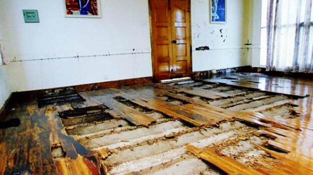 中山白蟻防治所電話(huà)，中山白蟻防治中心電話(huà)