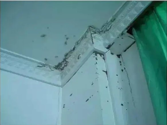 北京大興區(qū)學校滅四害滅四害公司2022已更新(品牌/推薦)