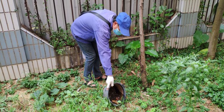 北京大興區(qū)學校滅四害滅四害公司2022已更新(品牌/推薦)