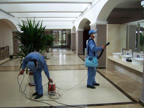 中山專業(yè)殺蟲公司