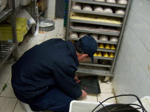 中山專業(yè)滅鼠公司存在的意義