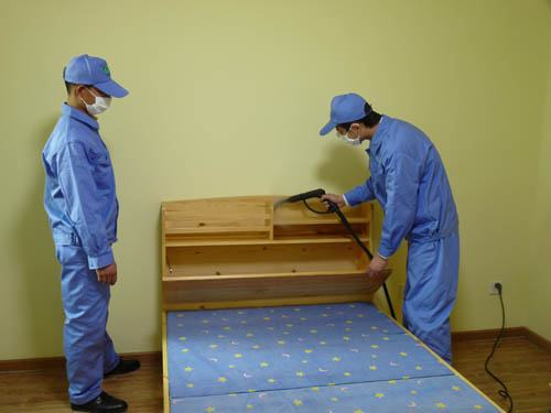 中山家里有跳蚤要怎么處理？中山專業(yè)殺蟲公