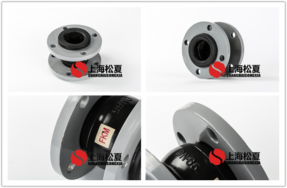 FKM-DN100-16kg耐腐蝕氟<a href='http://m.newhzexpo.com' target='_blank'><u>橡膠接頭</u></a>