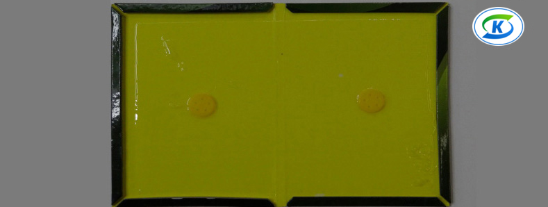 商超、連鎖業(yè)蟲害防治(圖5)